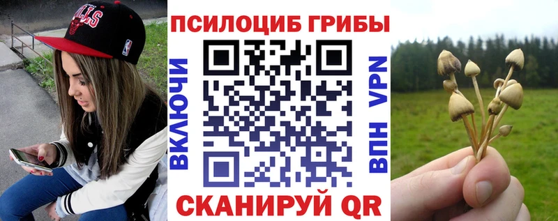 mega онион Сосновоборск Галлюциногенные грибы Cubensis