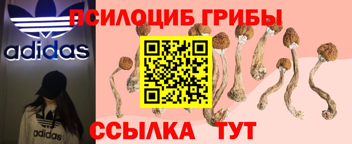 Псилоцибиновые грибы Psilocybe  цены   Сосновоборск  Вход с VPN 