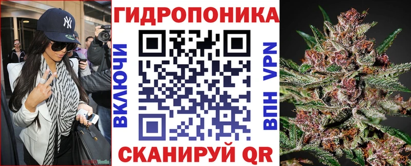 Бошки Шишки планчик Сосновоборск