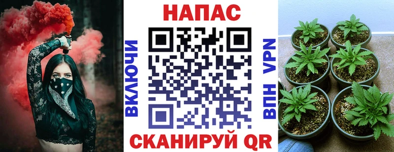 Бошки Шишки White Widow  сайты даркнета какой сайт  Сосновоборск  наркотики 